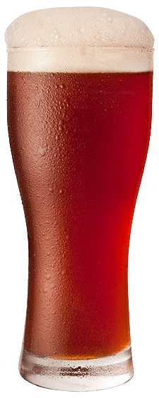 Home Brewed Irish Red Ale