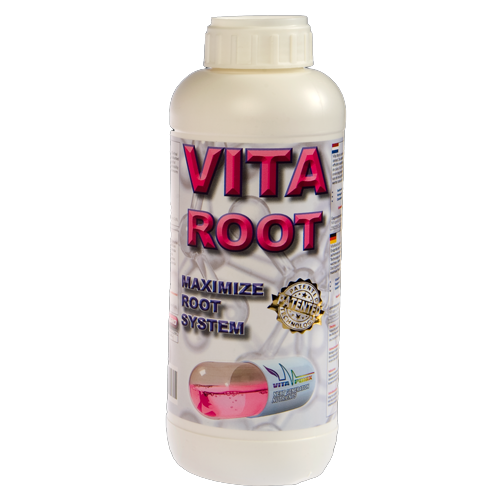 Vita Root
