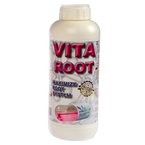 vita-root-southern-highlands-home-brew