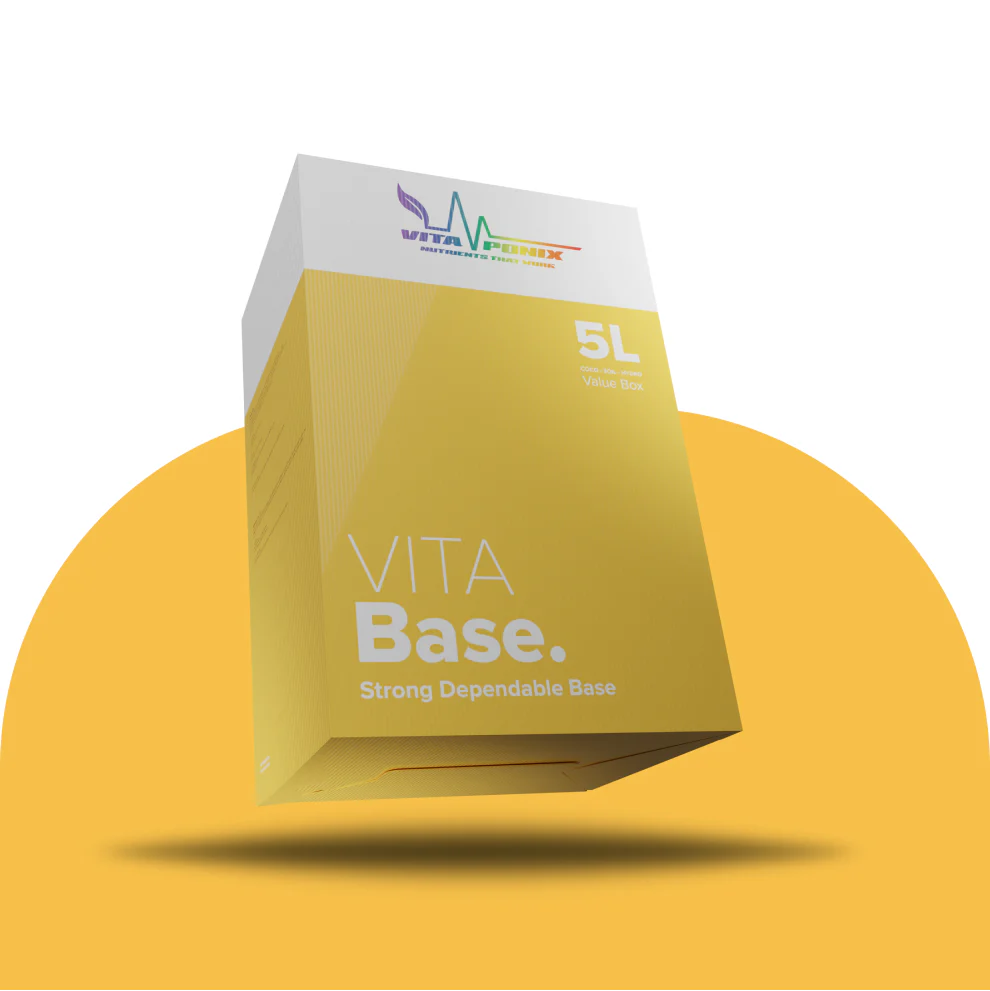 Vita Base
