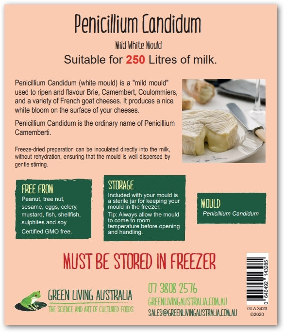 Penicillium Candidum (White Mould)